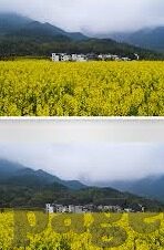 麻豆Av沈樵作品全集-聚焦文化与道德的边疆，沈樵作品的深度探索