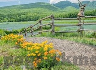 麻豆天美传媒乌鸦传媒-探寻多元化娱乐视野，麻豆天美与乌鸦传媒的异彩纷呈