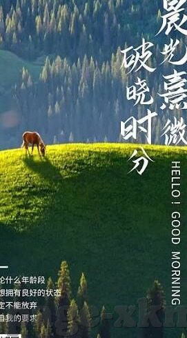 欧美成人免费视频在线看-解锁视觉盛宴，探索欧美成人影片的在线观看体验