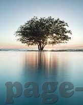 日韩av电影网-日韩AV电影网，文化、法律与道德的交汇点