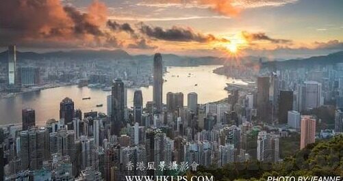 糖心app苹果版免费-苹果用户的私藏宝典，解锁糖心App的非凡体验