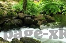 糖心vlog破解版无限金币-解锁糖心Vlog，揭秘无限金币的实用技巧