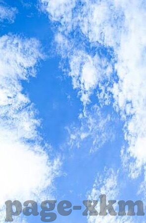 天美麻豆视频-社区文化与网络信息安全的平衡之道，一起探索合法合规的娱乐空间