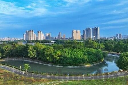乌鸦传媒麻豆精品视频-乌鸦传媒在麻豆精品视频领域的创新实践